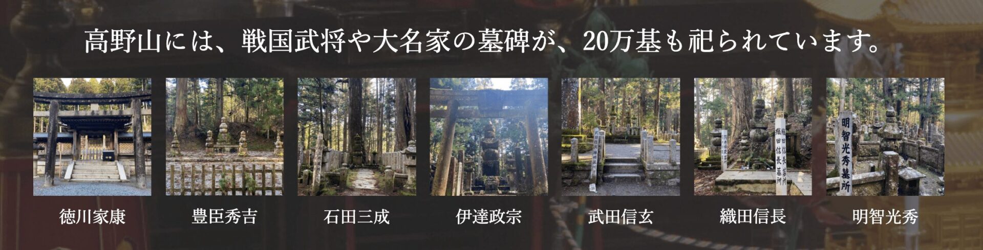 遍照尊院の画像