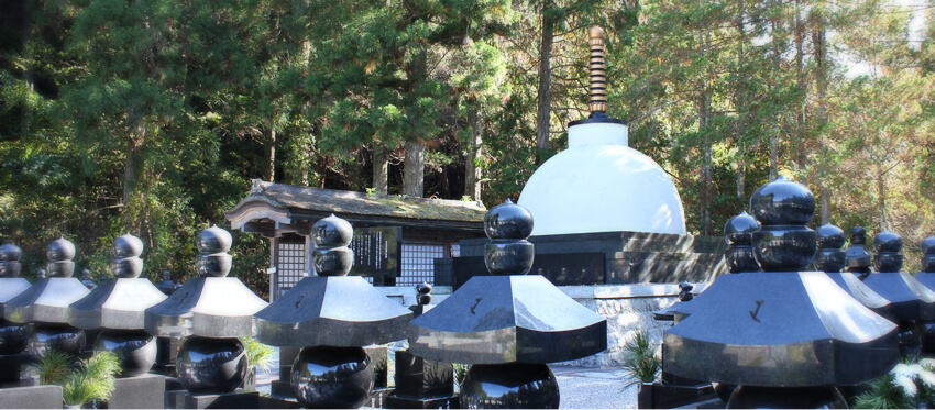 持明院「はすの会」のpr紹介文のメイン画像